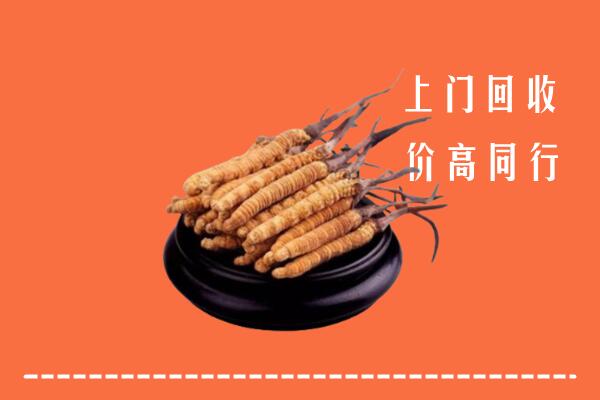 高价求购：北京市石景山区回收散虫草