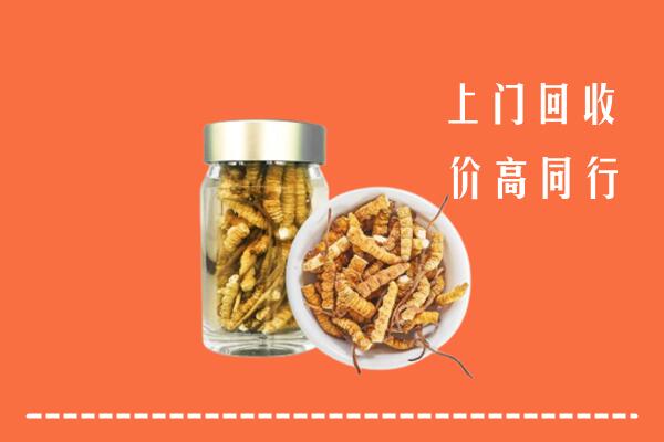 北京市石景山区回收冬虫夏草